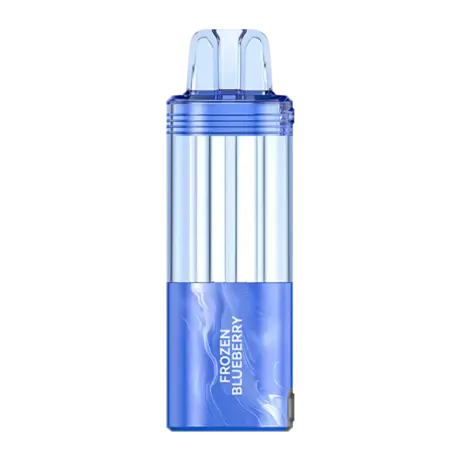 Foger Frozen Blueberry Disposable Pod